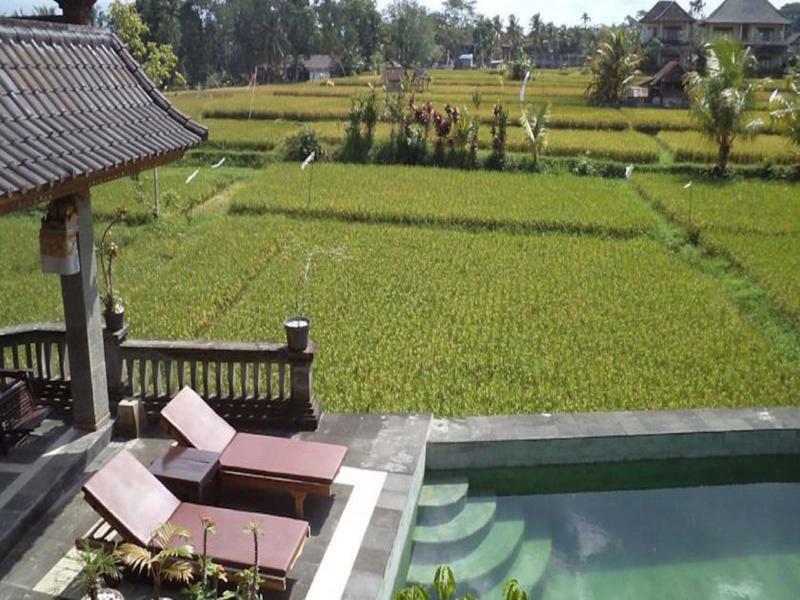 Ala'S Green Lagoon Ubud  Exterior photo