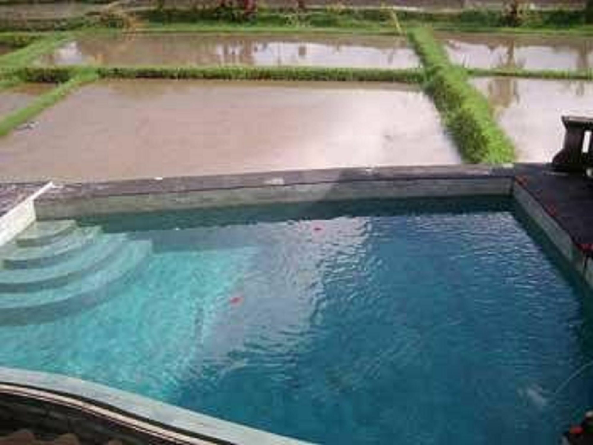 Ala'S Green Lagoon Ubud  Exterior photo