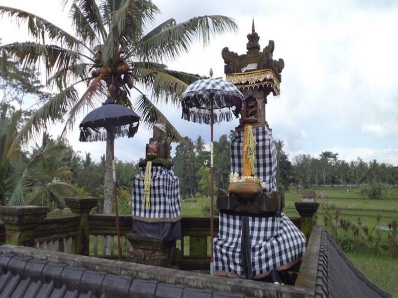 Ala'S Green Lagoon Ubud  Exterior photo