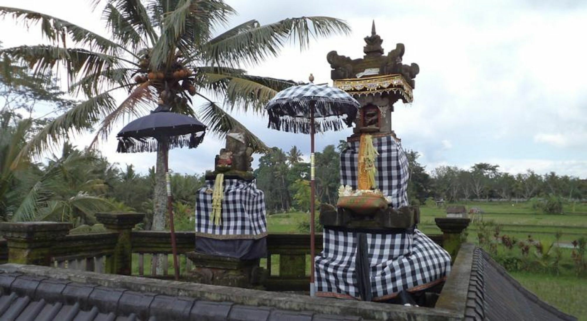 Ala'S Green Lagoon Ubud  Exterior photo