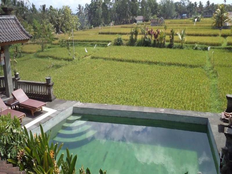 Ala'S Green Lagoon Ubud  Exterior photo